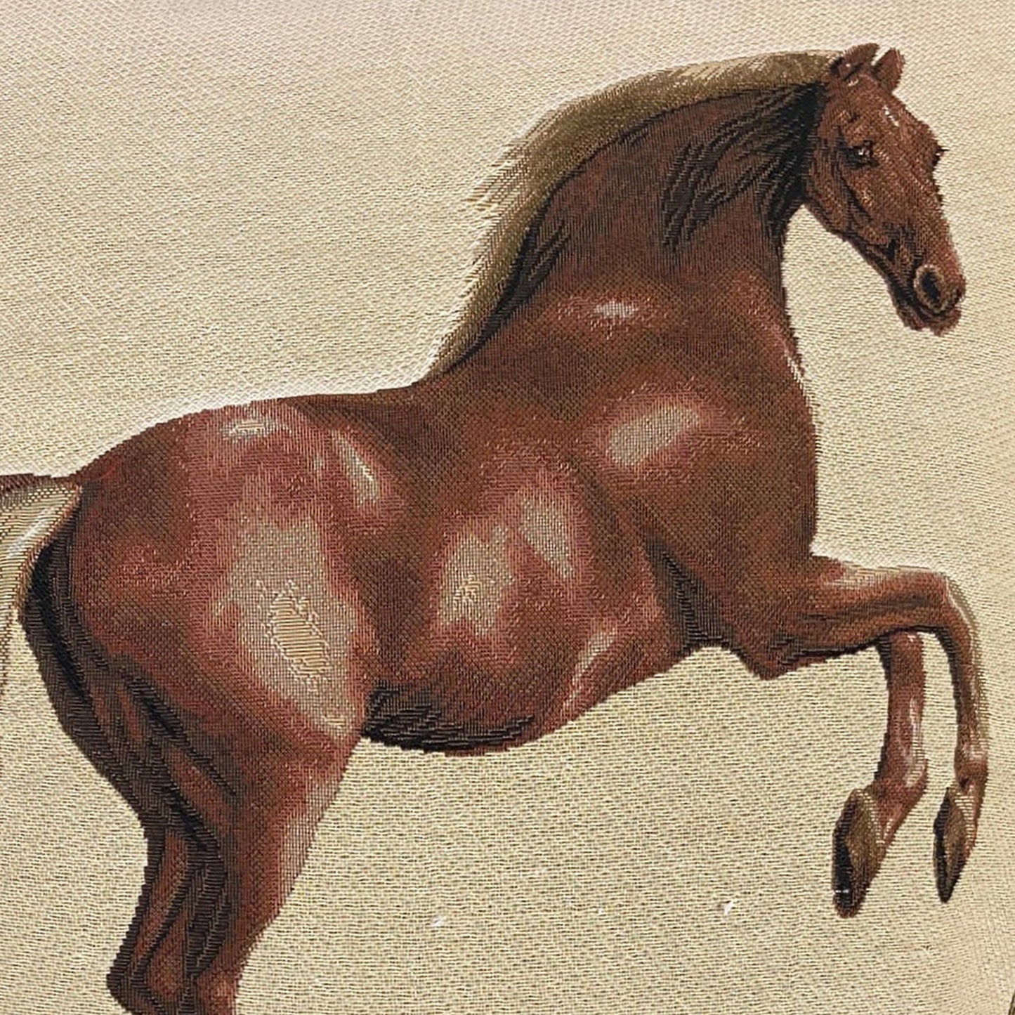 Panel Whistlejacket Pillowcase/Cushion Cover 18x18 Inch
