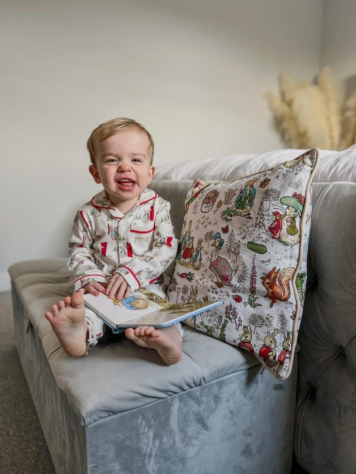 Peter Rabbit Decorative Pillowcase/ Cushion cover 18 x 18 inch